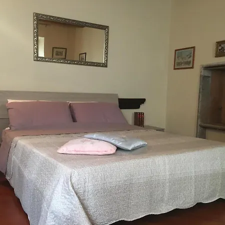 Arena Apartment